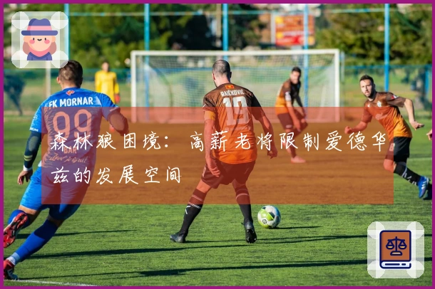森林狼困境：高薪老将限制爱德华兹的发展空间