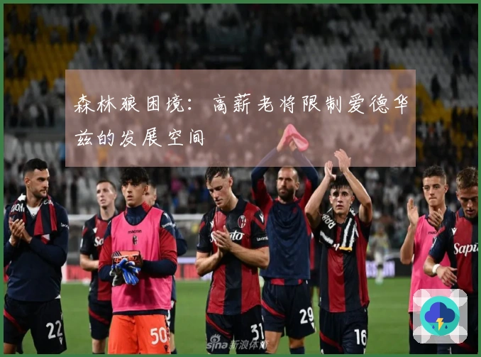 森林狼困境：高薪老将限制爱德华兹的发展空间